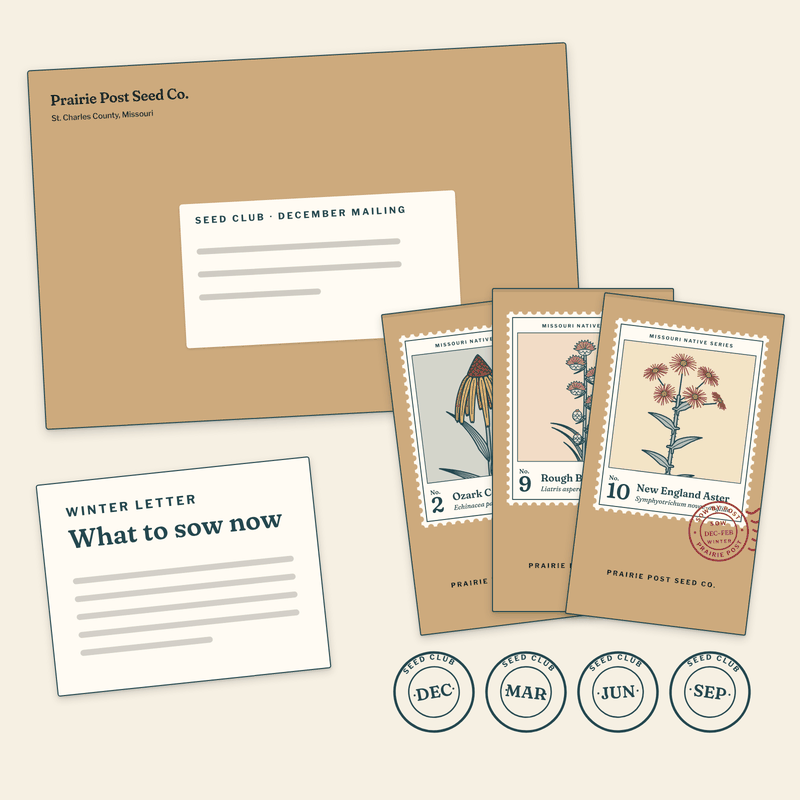 Illustration of a Seed Club mailing: a kraft envelope, three seed packets (Nos. 2, 9 and 10, the December mailing) and the seasonal letter, with date cancels for the four mailings: December, March, June and September.