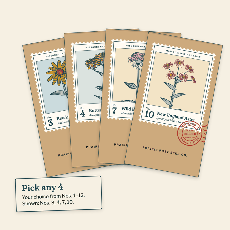 Illustration of four Missouri Native Series seed packets fanned out (Nos. 3, 4, 7 and 10 shown). You choose any four of the twelve.