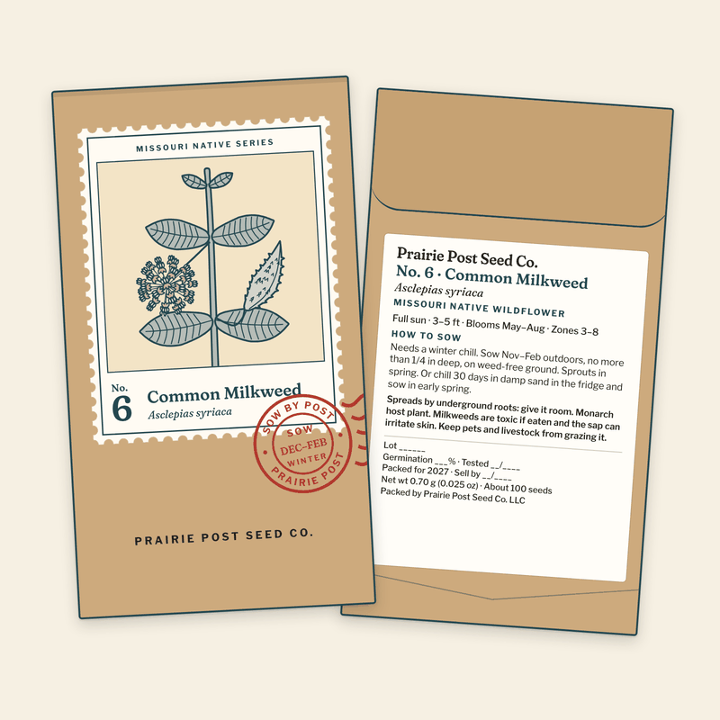 Illustration of the No. 6 Common Milkweed seed packet: a kraft envelope with the Missouri Native Series stamp label and a SOW DEC–FEB postmark on the front, and the growing directions and label details on the back.