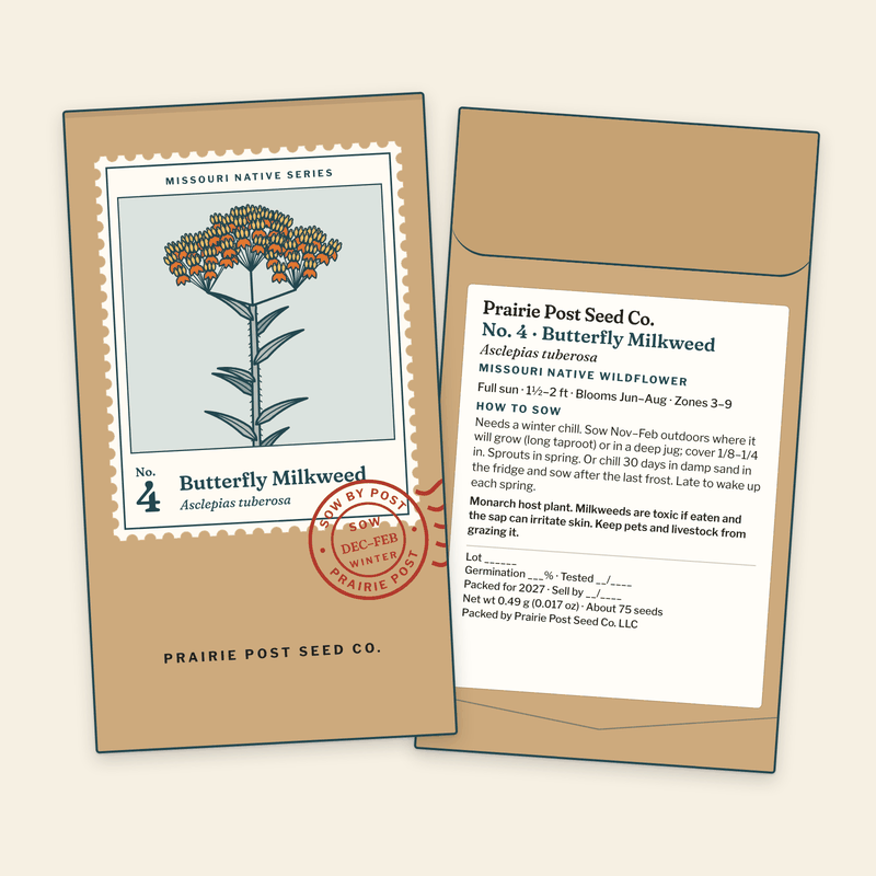 Illustration of the No. 4 Butterfly Milkweed seed packet: a kraft envelope with the Missouri Native Series stamp label and a SOW DEC–FEB postmark on the front, and the growing directions and label details on the back.